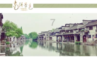 植物大战僵尸7
